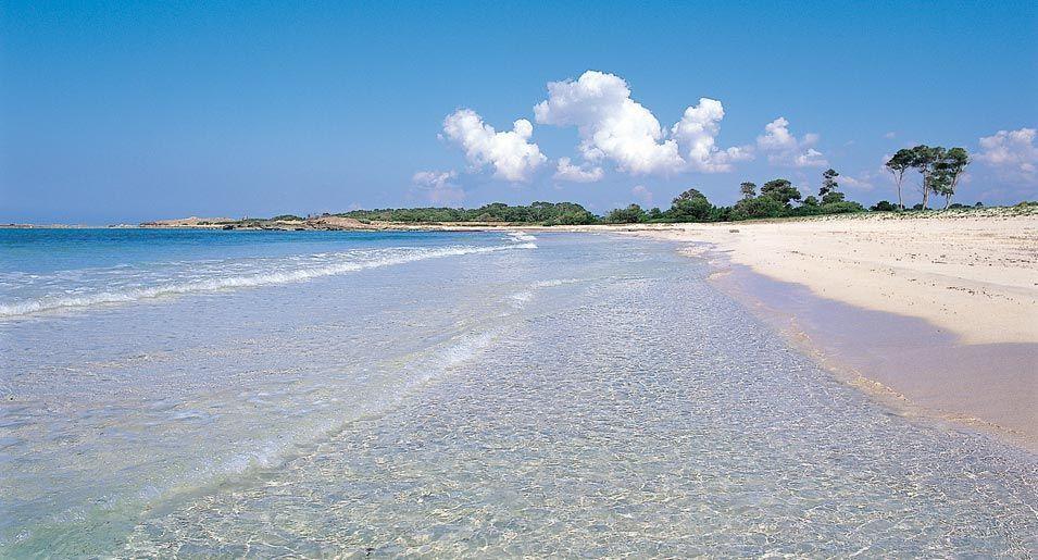 Can Gatet Colonia de Sant Jordi Exteriör bild
